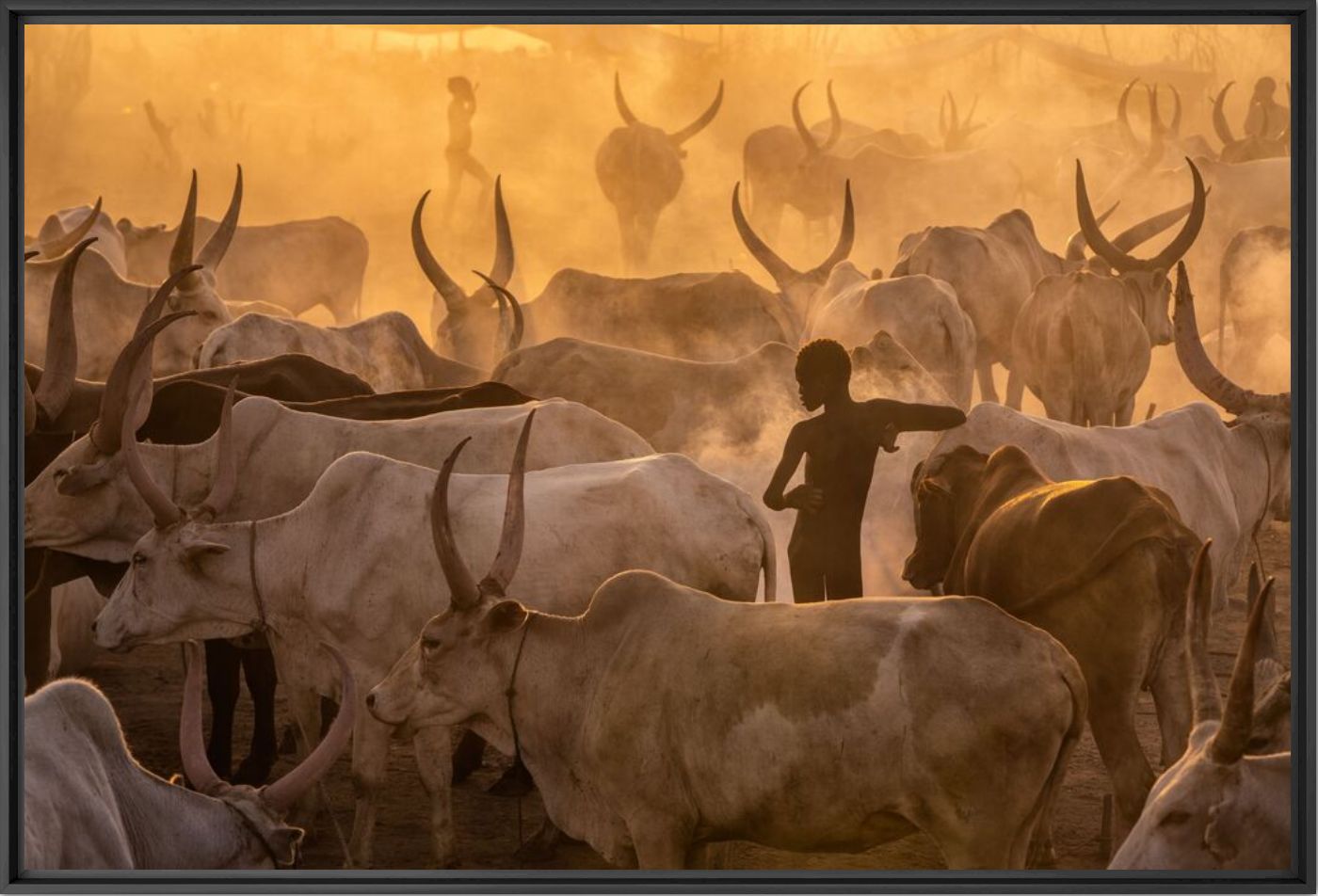 Silence and chaos - ESTEBAN TORO - Fotograf&iacute;a