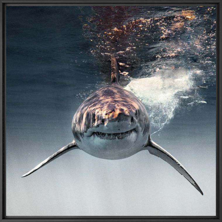 I SEE YOU - EUAN RANNACHAN - Photographie