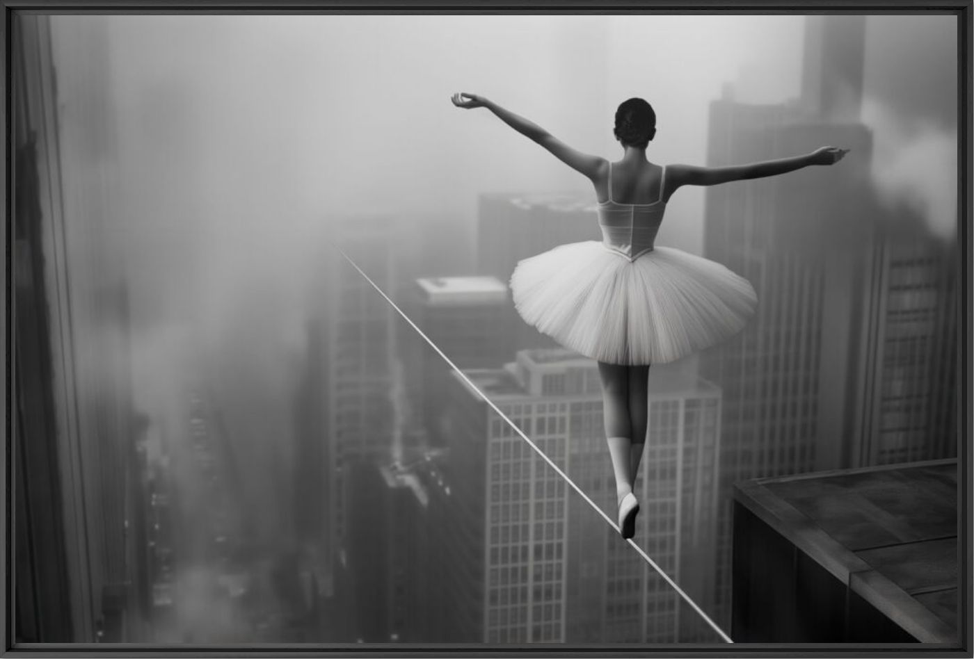 Ballet in the sky - Fabien NOVARINO - Photographie