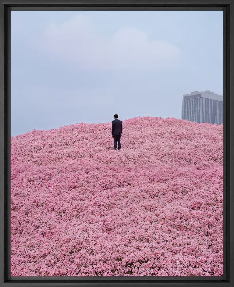 Lonely blossoms - Floow  - Fotografie