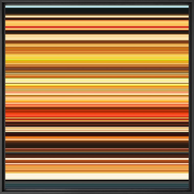 Essence 54 - FLORIAN MULLER - Photograph