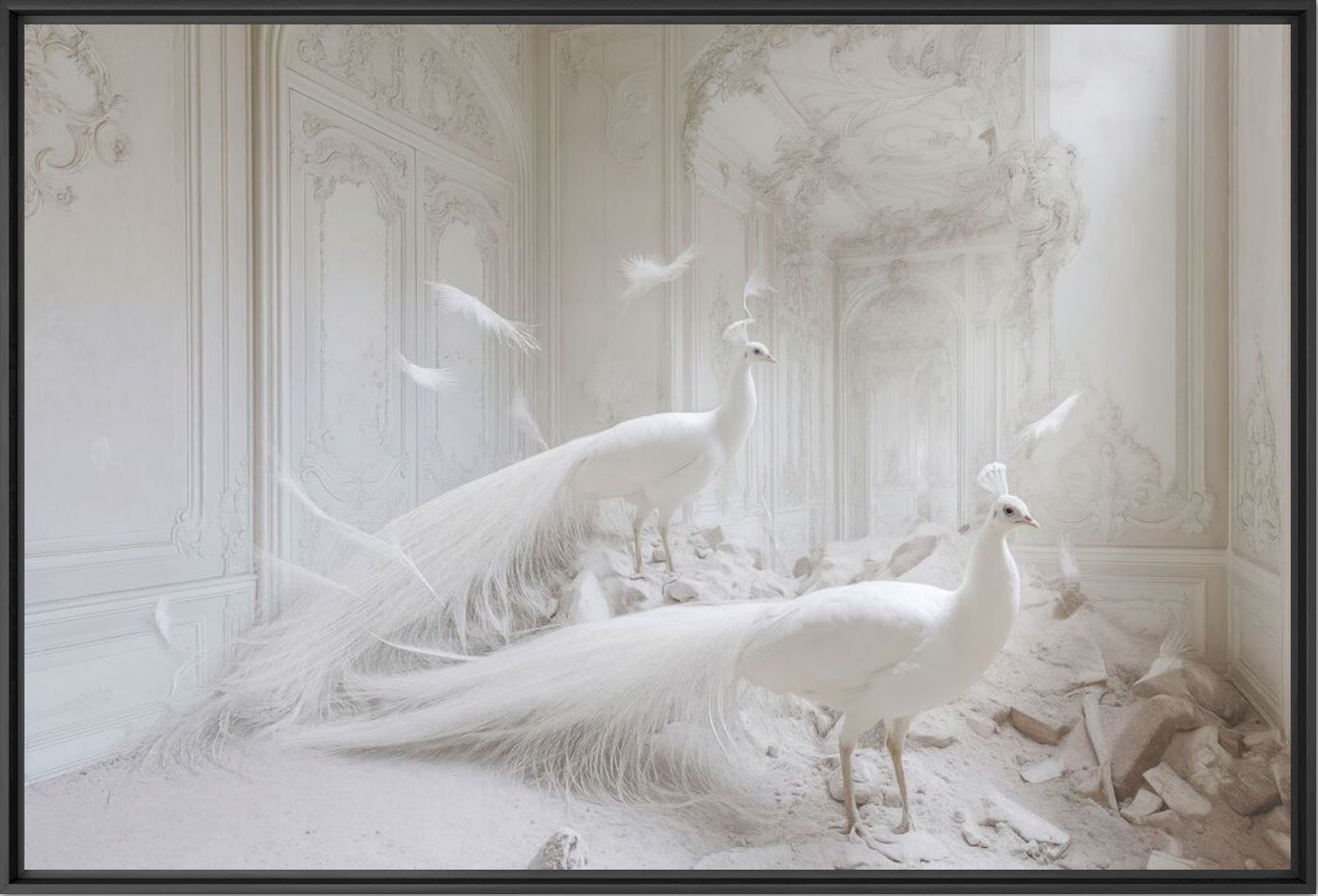 Un ange passe - FRANCIS  MESLET - Photograph