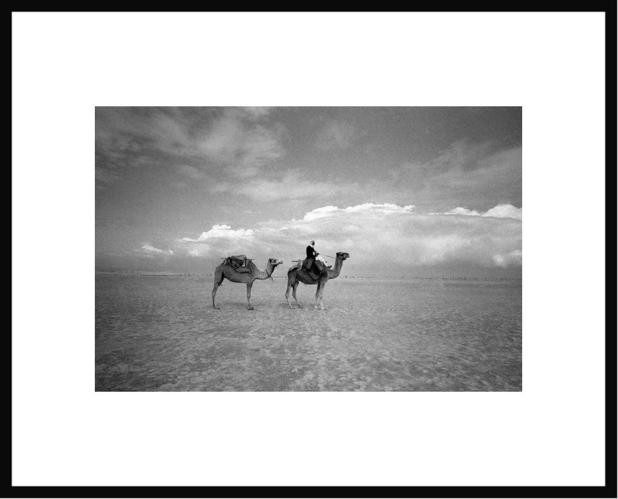 B&eacute;douins dans le Sina&iuml; 1978 - Fran&ccedil;ois Lochon - Photograph
