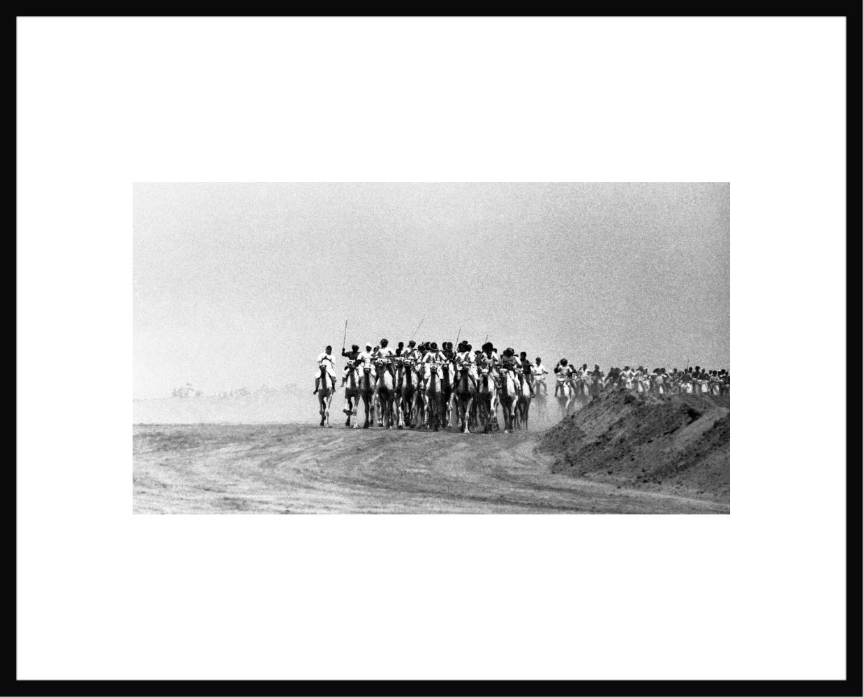 Course de chameaux &agrave; Riyad - Fran&ccedil;ois Lochon - Photograph