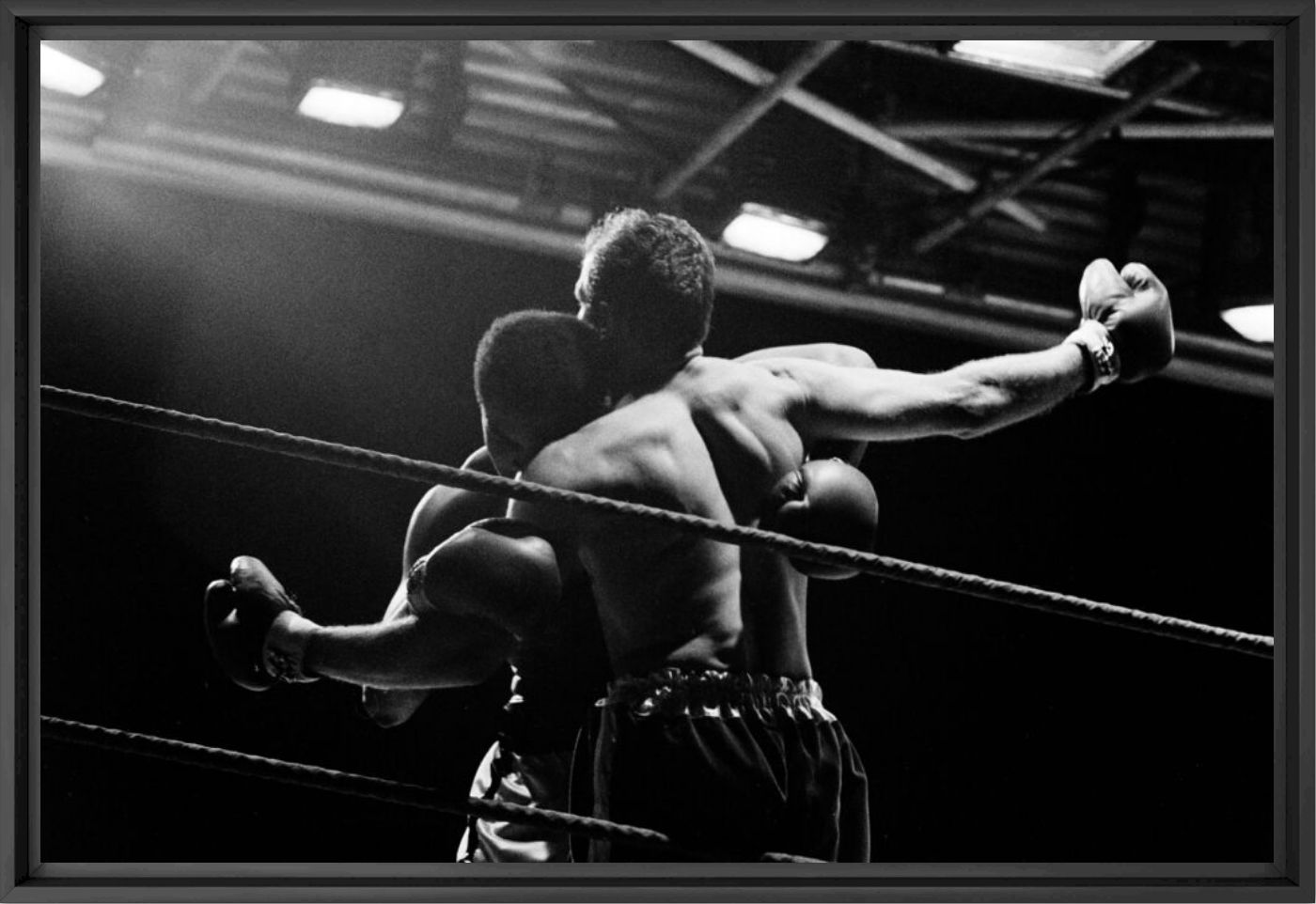Combat entre Mohamed Ali et Henry Cooper &agrave; Londres 1966 -  GAMMA RAPHO - Fotograf&iacute;a