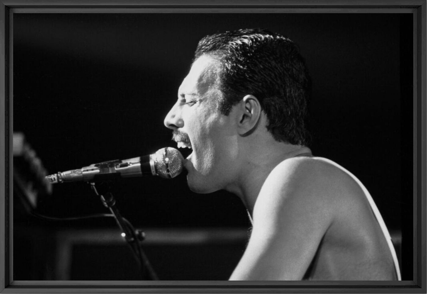 Freddie Mercury sur sc&egrave;ne -  GAMMA RAPHO - Fotograf&iacute;a