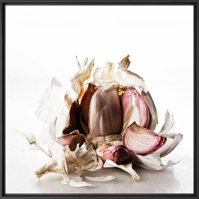 FOOD WASTE GARLIC - GILDAS PARE - Fotografie