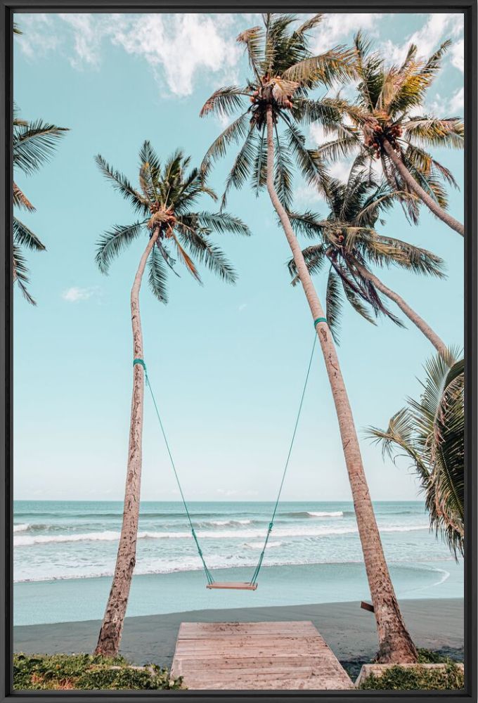 Palm swing - Giovanna Photography - Photograph