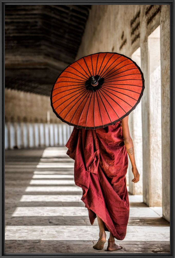 Shadows and light - Giovanna Photography - Photograph