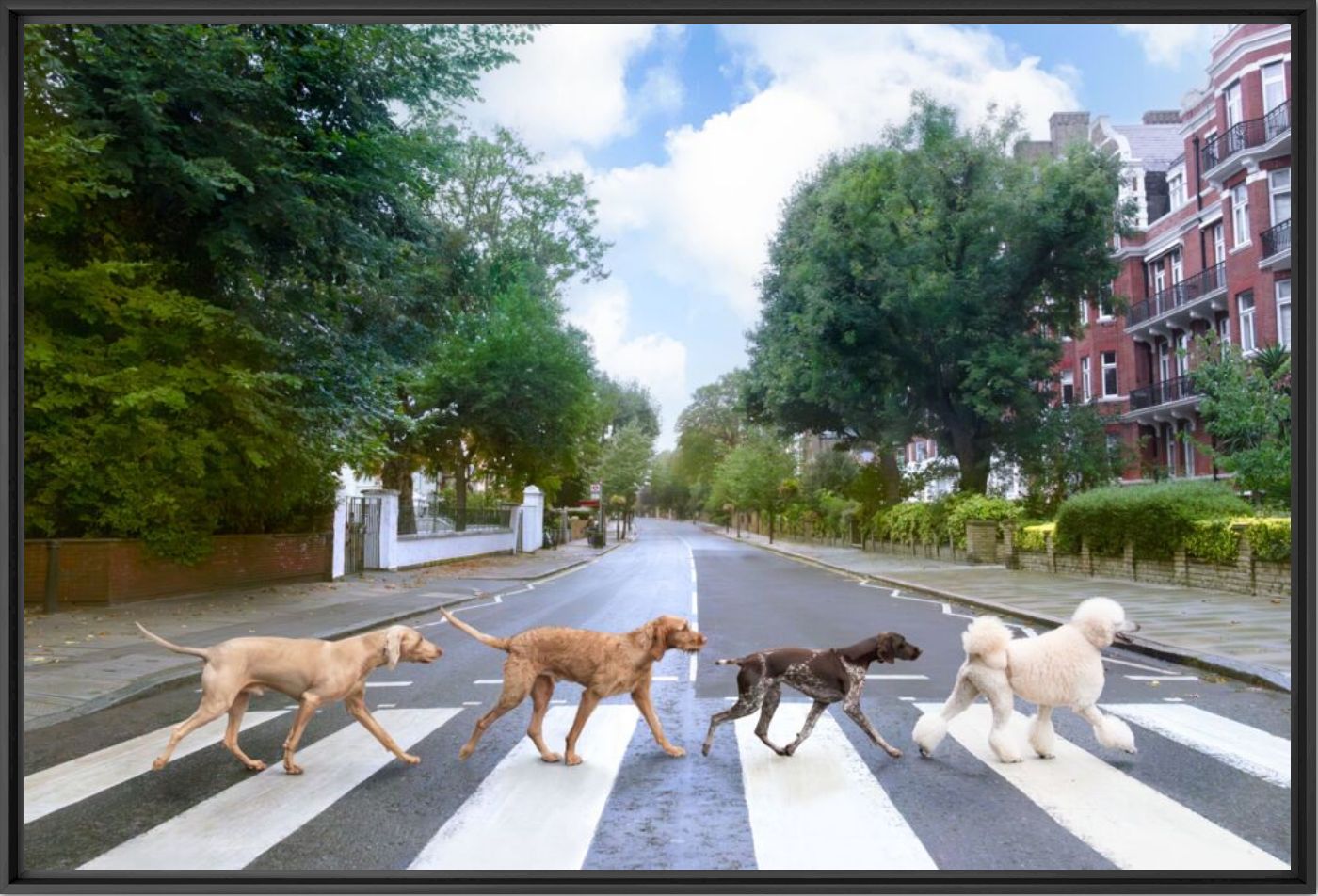 Abbey road London - Gray Malin - Fotograf&iacute;a
