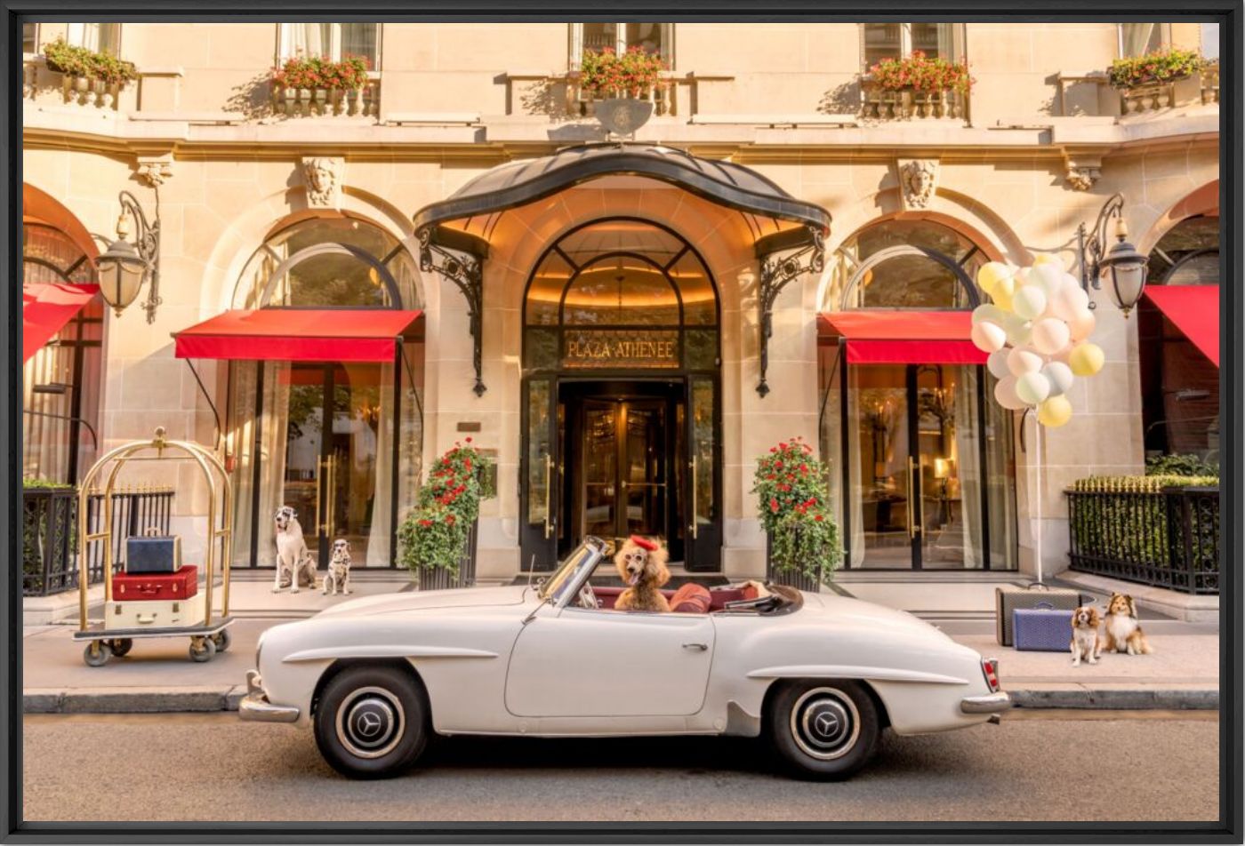 Dogs at hotel Plaza Athenee - Gray Malin - Photographie