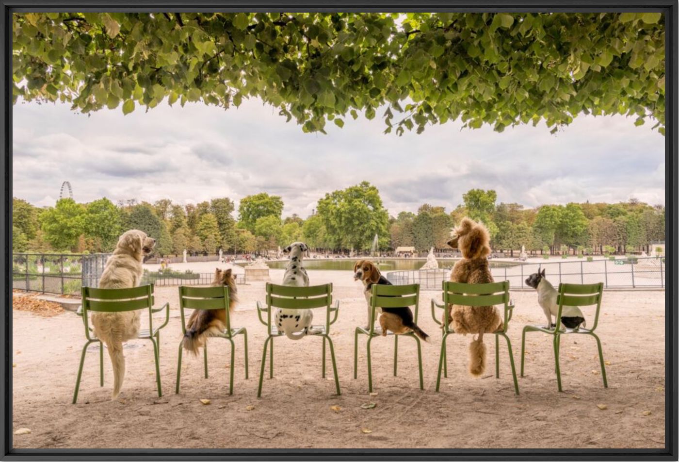 Jardin des Tuileries Paris - Gray Malin - Photographie