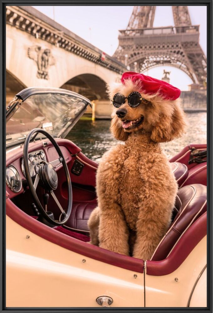 Joy ride Paris - Gray Malin - Photographie