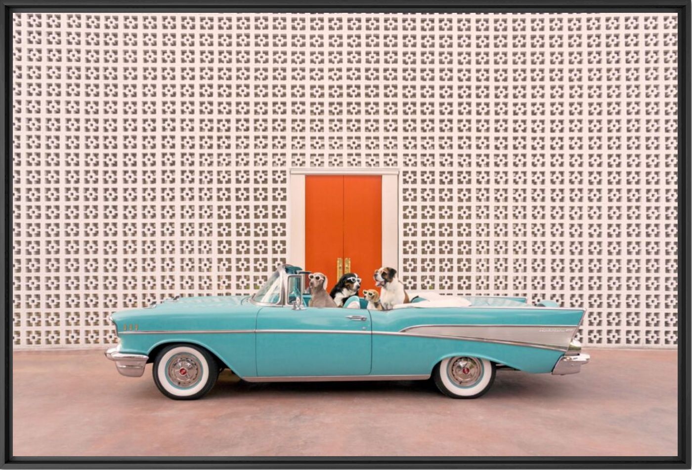 Joy ride Parker Palm Springs - Gray Malin - Photographie