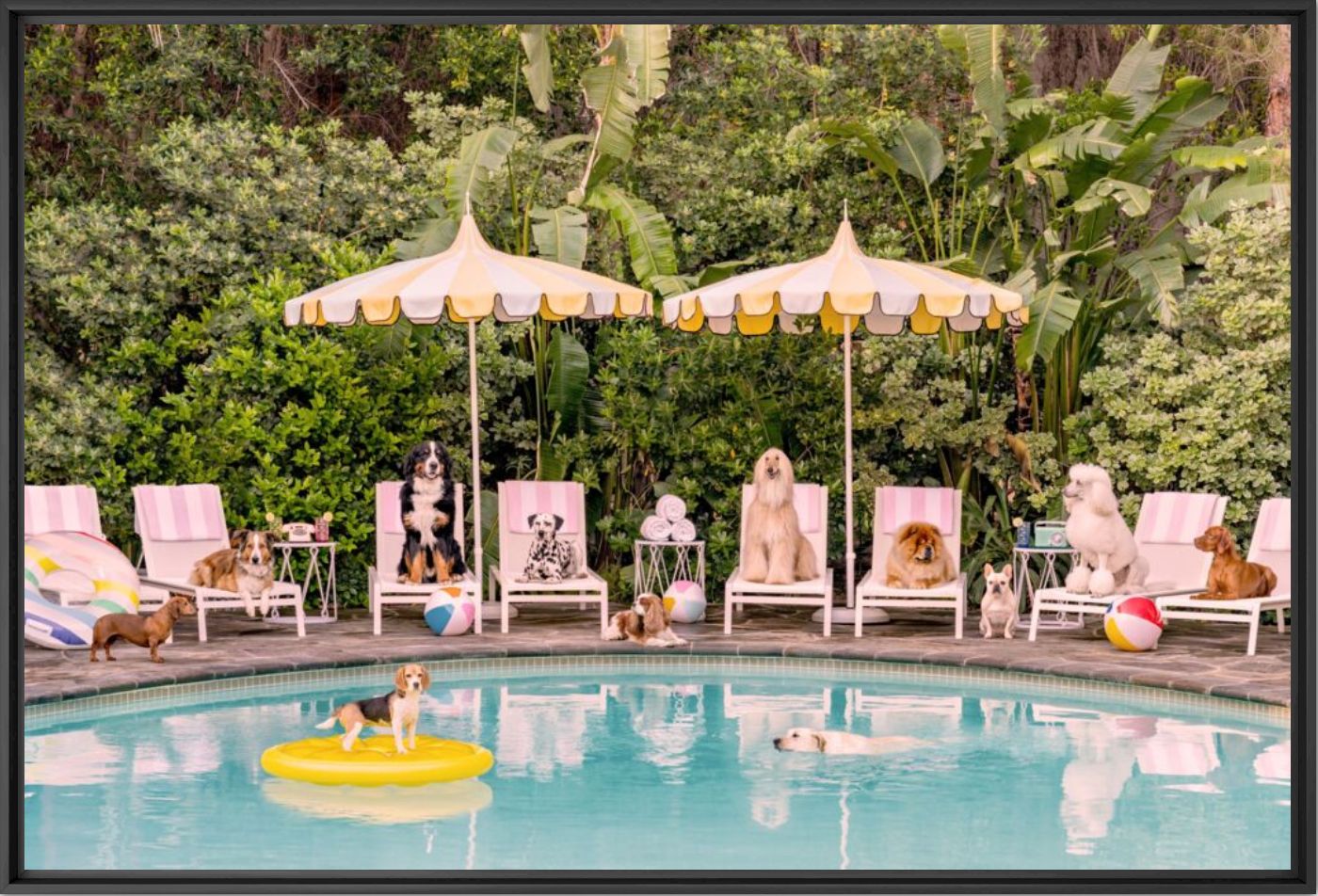 Pool day at the Parker - Gray Malin - Fotograf&iacute;a