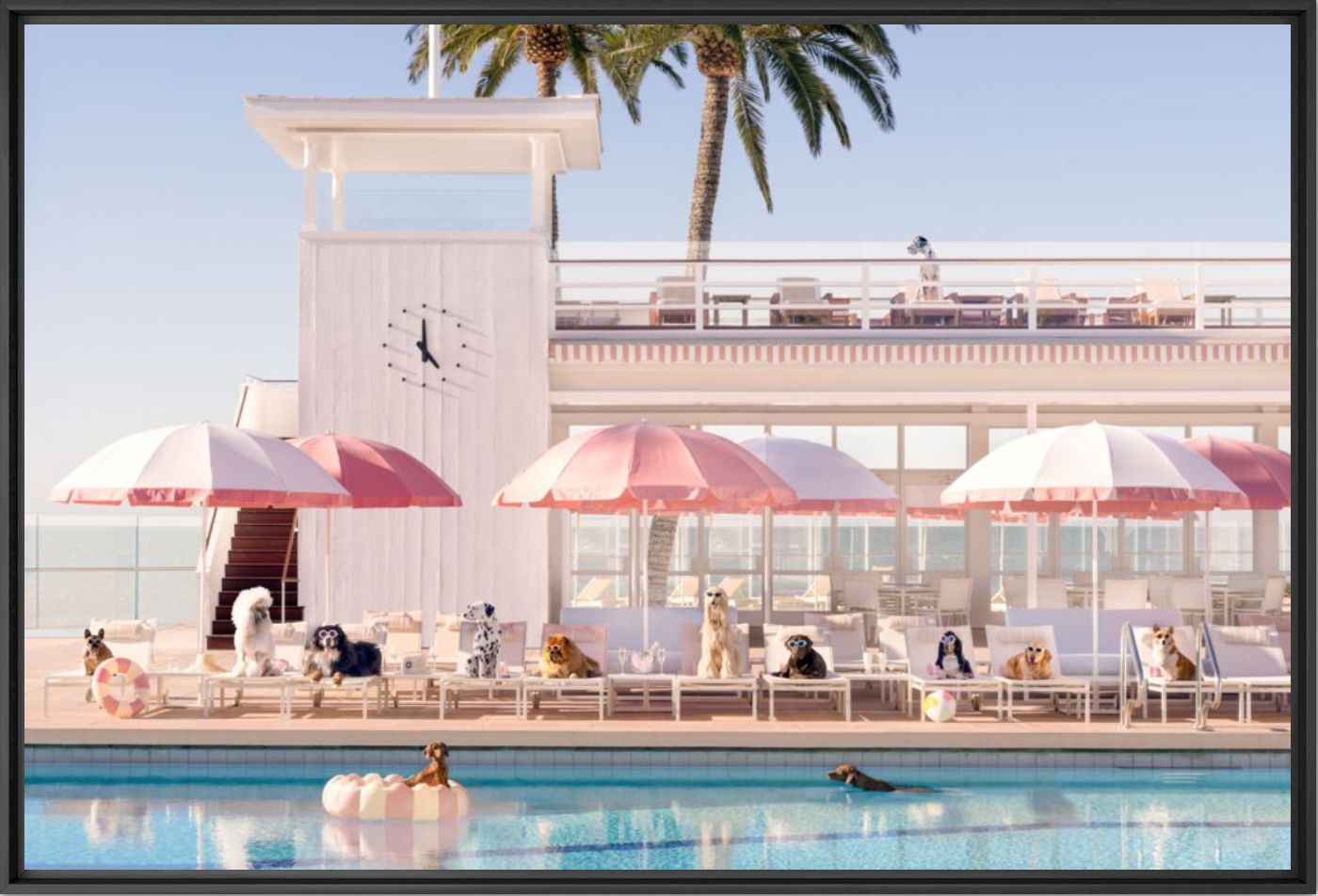 Pool day Coral Casino - Gray Malin - Photographie
