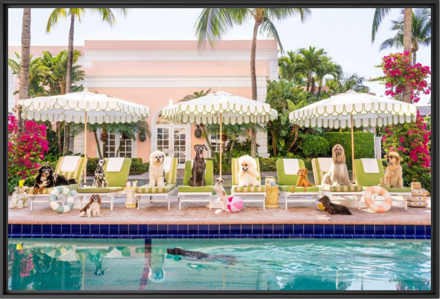 Pool day The Colony hotel - Gray Malin - Photographie