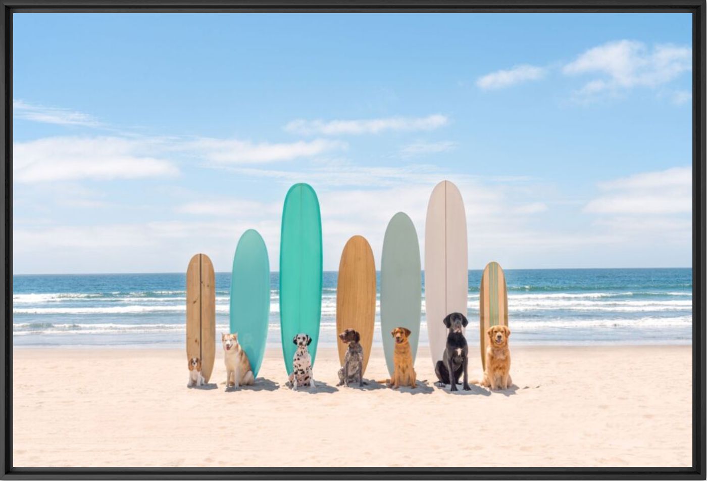 Surfs up San Diego - Gray Malin - Fotograf&iacute;a