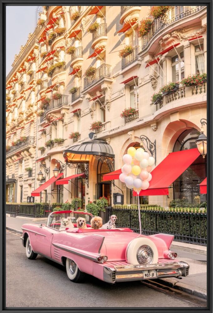 The arrival hotel Plaza Athenee - Gray Malin - Photographie