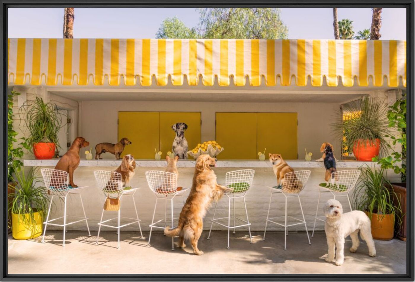 The lemonade stand Parker Palm Springs - Gray Malin - Photographie