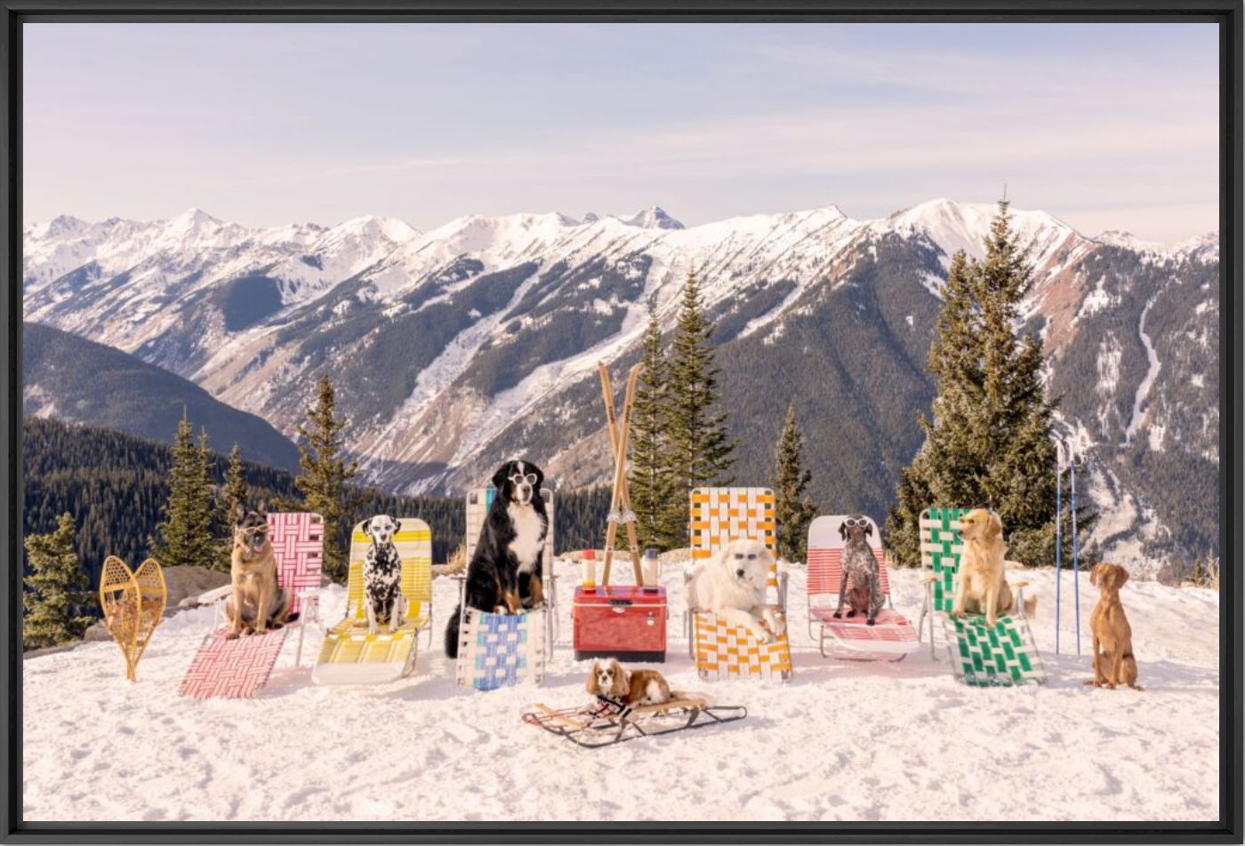 The sun loungers dogs of Aspen - Gray Malin - Fotograf&iacute;a