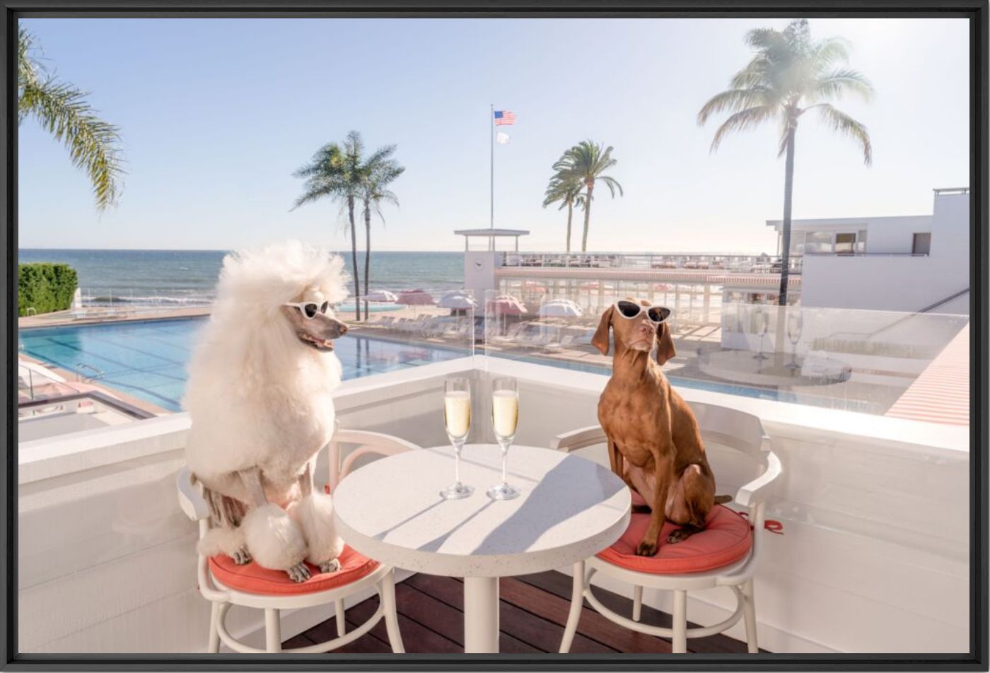 The Ty Warner Cabana Coral Casino - Gray Malin - Photographie