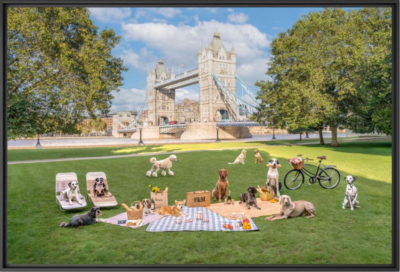 Tower Bridge picnic London - Gray Malin - Photographie