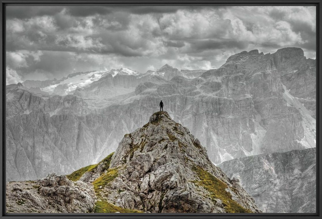 Gerboe - GUSTAV WILLEIT - Photographie