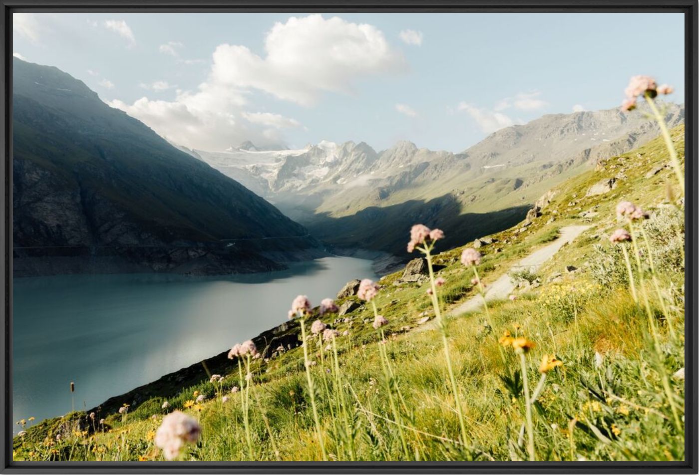 Les Alpes en fleurs - Heja Elsa  - Photographie