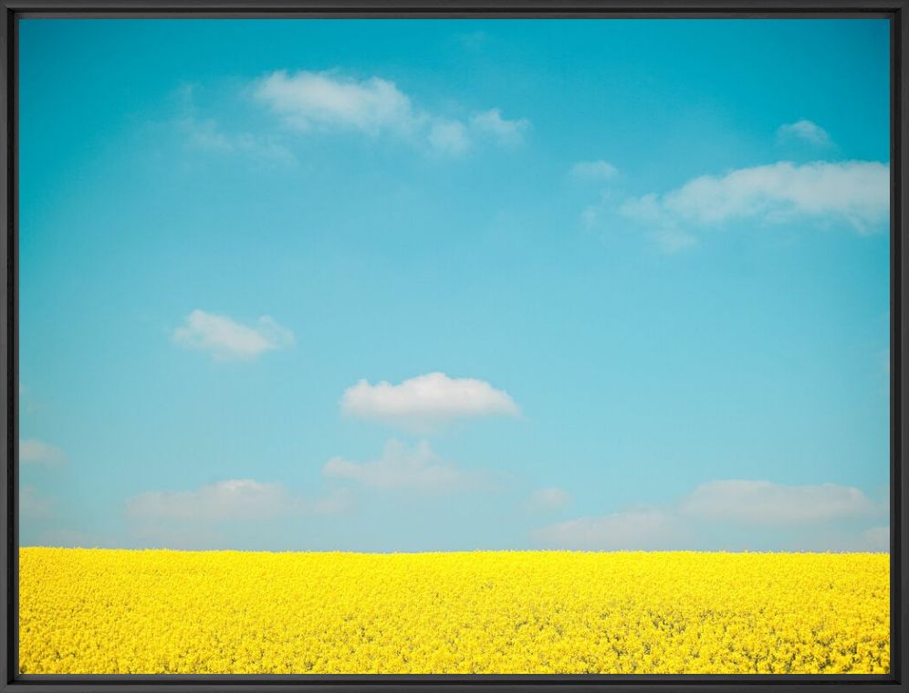 SKY OVER FLOWERS - HEROD BECEN - Fotograf&iacute;a