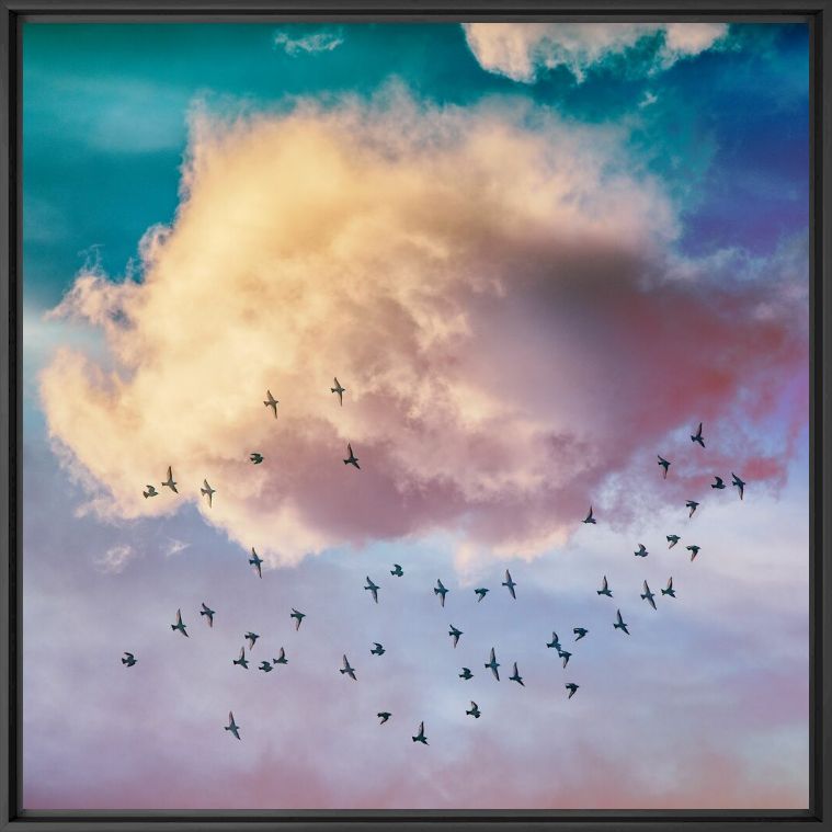 Birds and Clouds - IGOR VITOMIROV - Fotograf&iacute;a