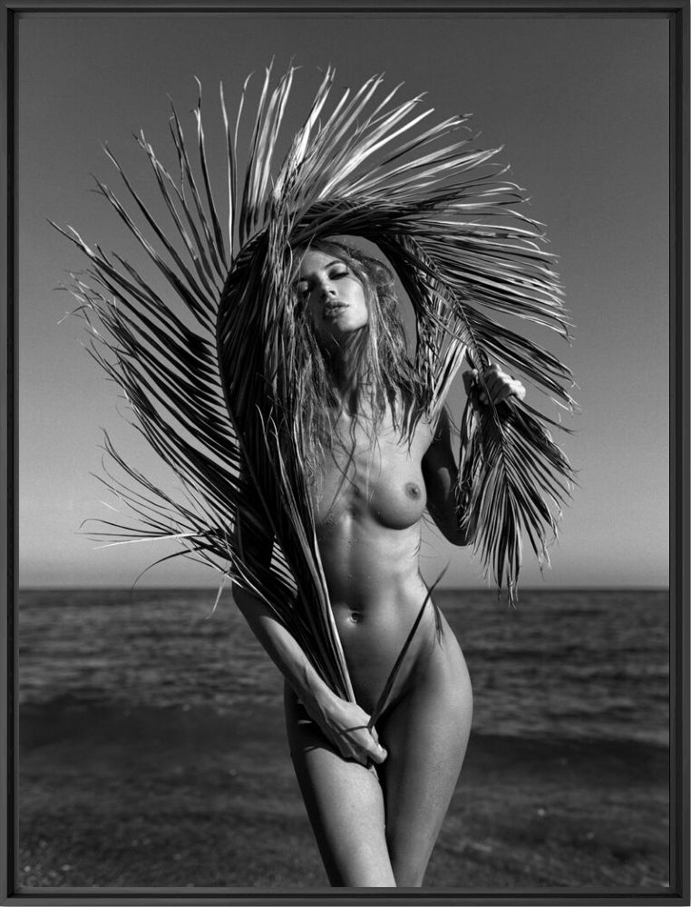 Palm game - Igor Vorobey - Fotografie