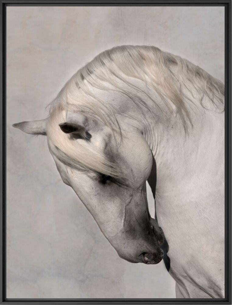 Portrait of generale - Irina Kazaridi - Photographie