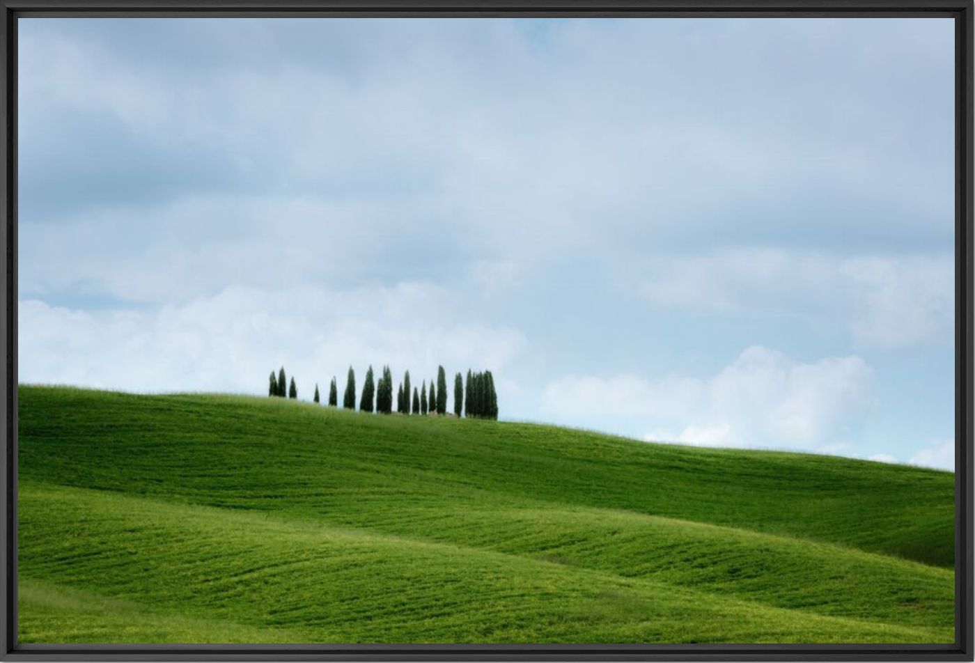 Cypress horizon - JAKUB POLOMSKI - Fotografia
