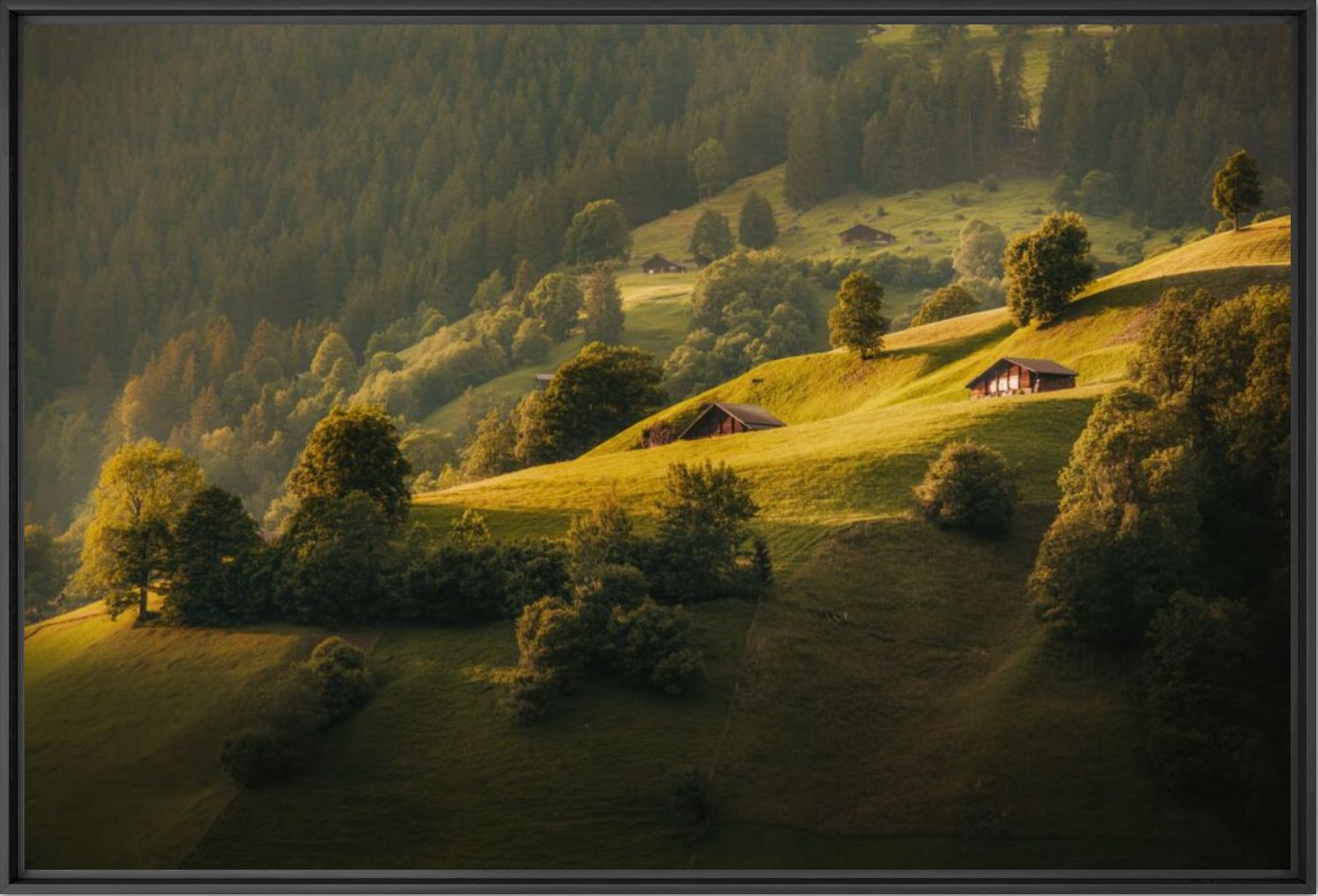 Golden slopes - JAKUB POLOMSKI - Photograph