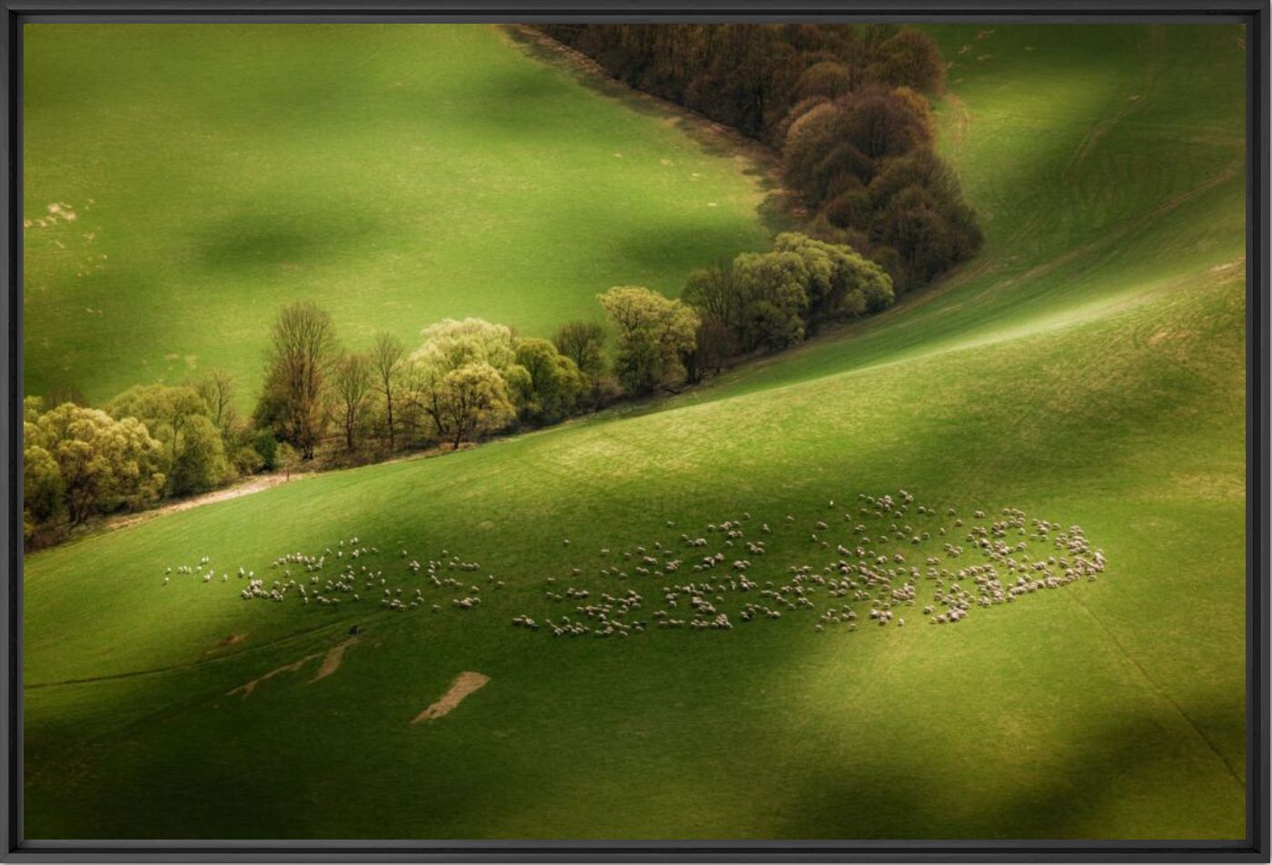Living patterns - JAKUB POLOMSKI - Photographie