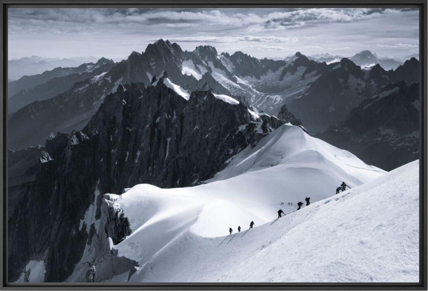 The Scale of Nature - JAKUB POLOMSKI - Fotografie
