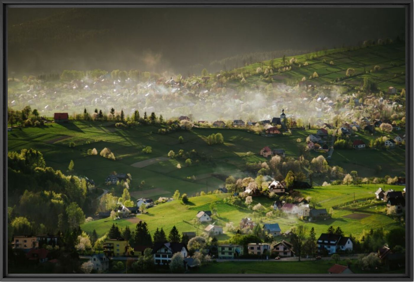 Whispers of spring - JAKUB POLOMSKI - Photographie