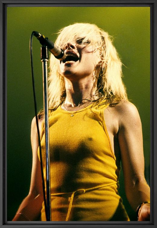 Blondie - JAN WERNER - Photographie