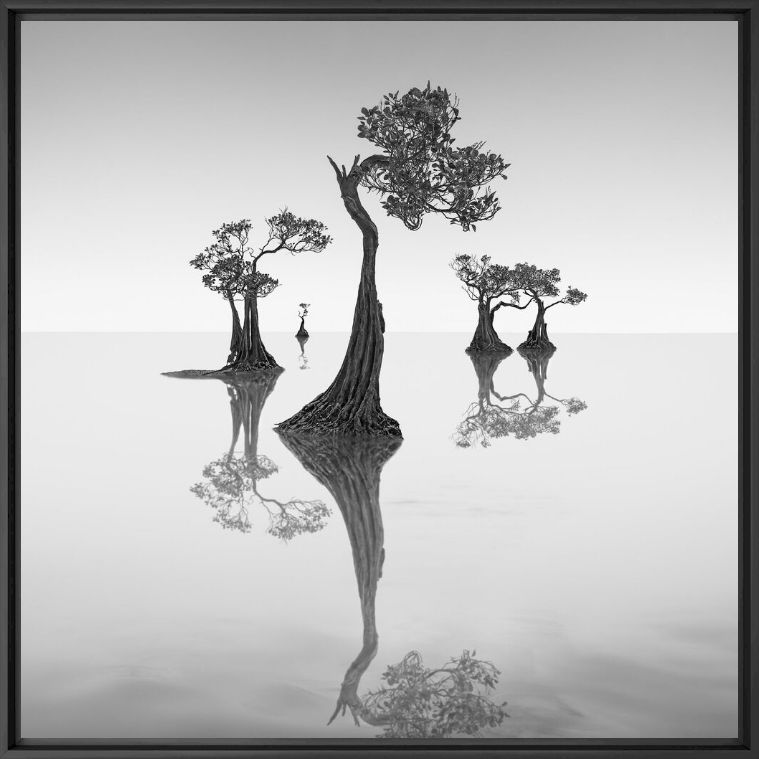 Dancing Mangrove Trees 7 -  JEFFLIN - Fotografie