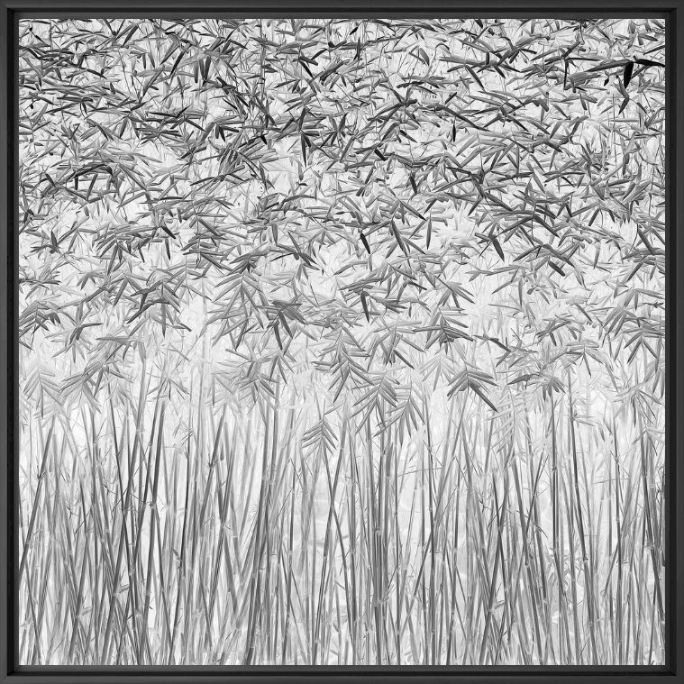PARALLELISM -  JEFFLIN - Photographie