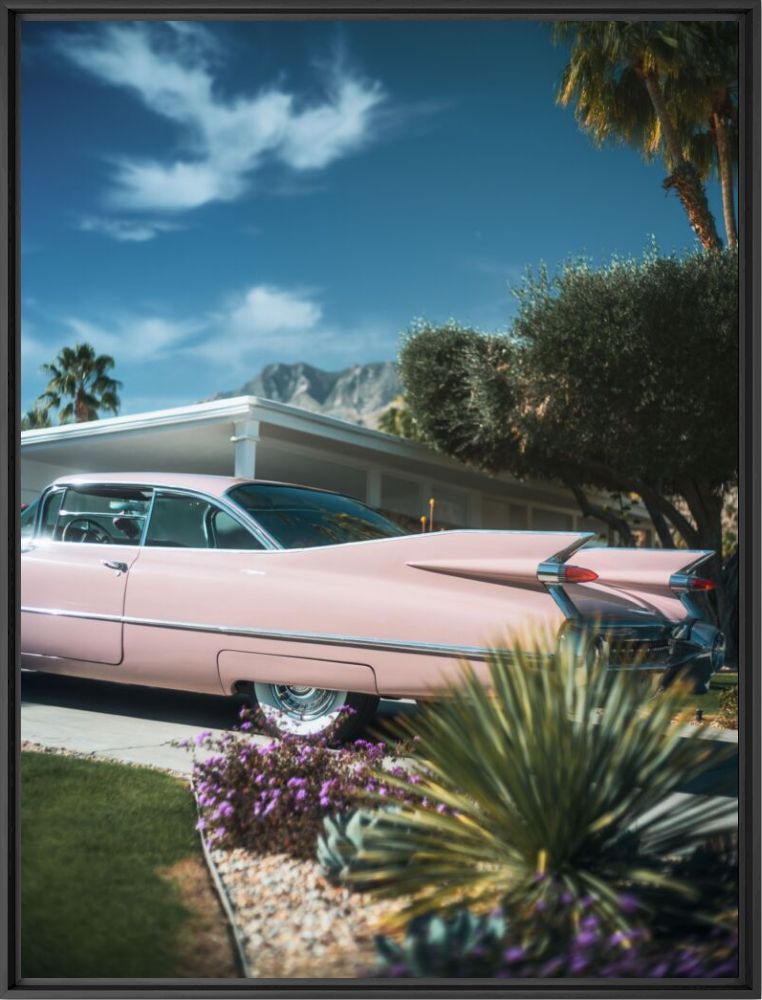 Palm springs pink - Jens Ochlich - Photographie
