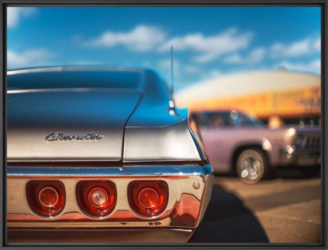 Silver impala - Jens Ochlich - Photographie