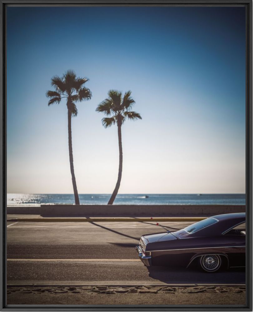 Twin palm impala - Jens Ochlich - Photographie
