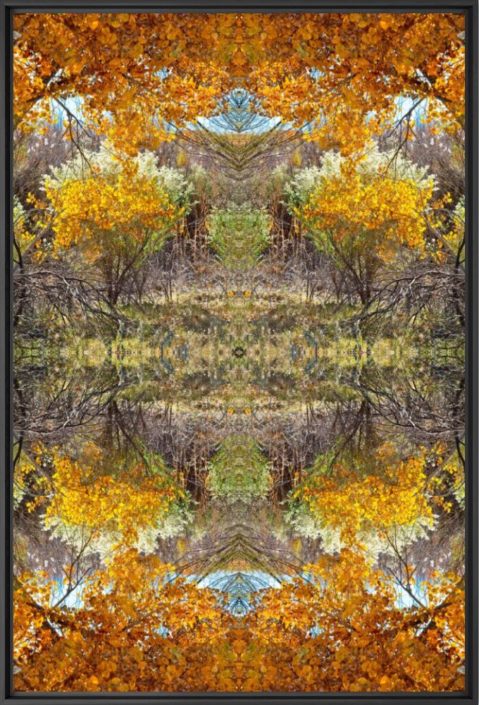 Bosque del apache -  JOHN EASTCOTT ET YVA MOMATIUK - Photographie