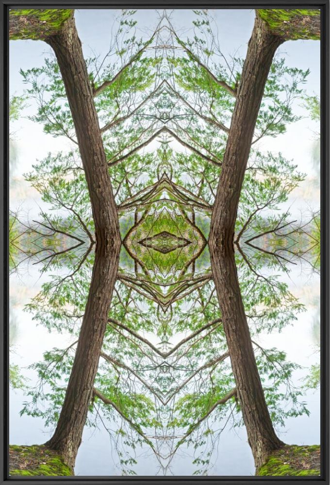 Hemlock mystery -  JOHN EASTCOTT ET YVA MOMATIUK - Photographie