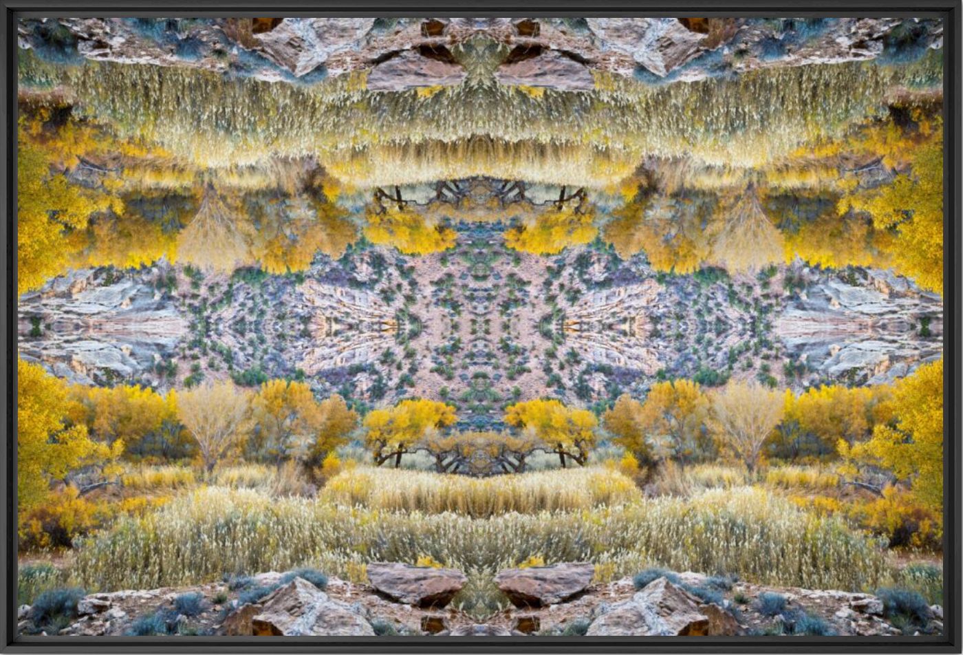 Tableau vivant -  JOHN EASTCOTT ET YVA MOMATIUK - Photographie