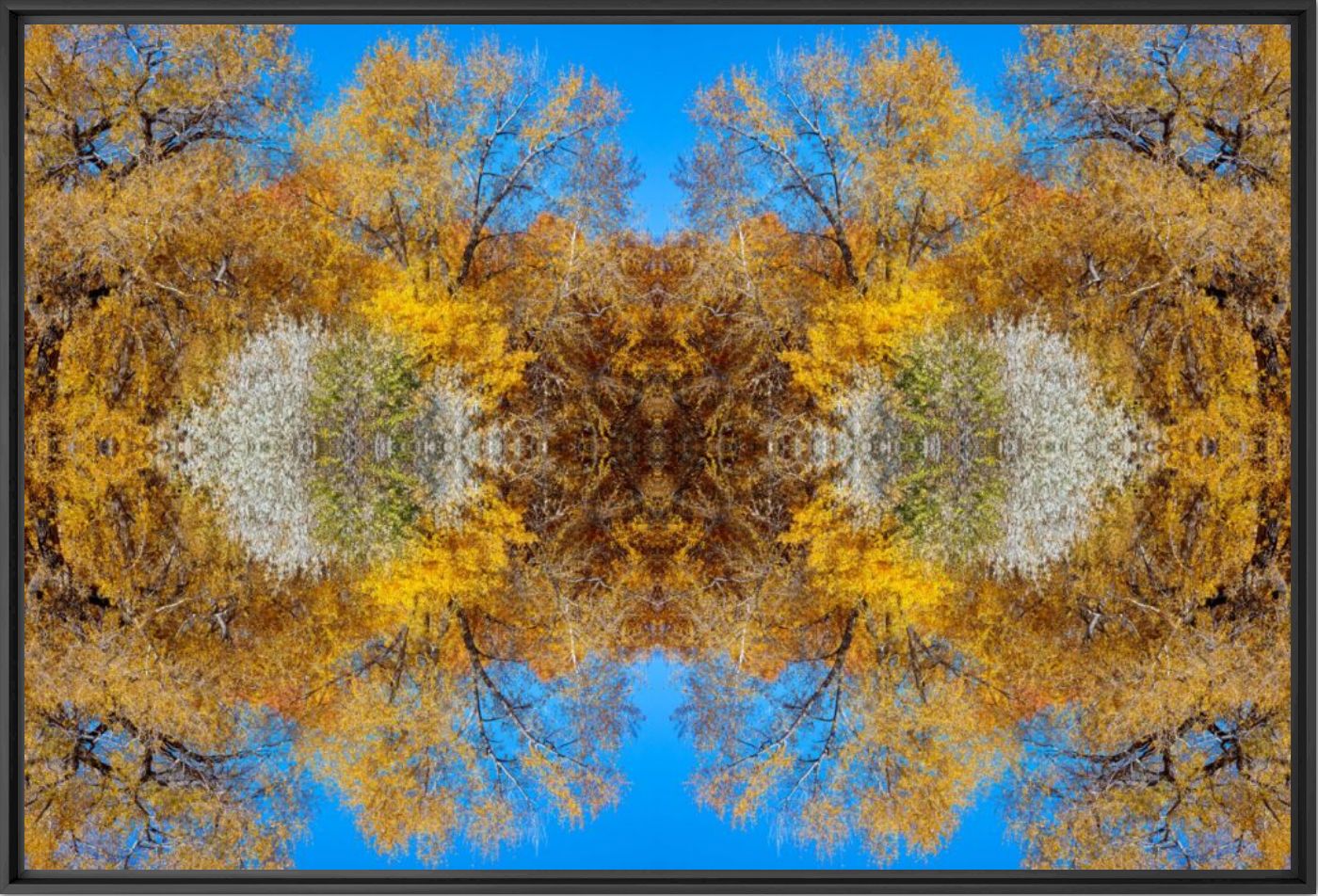 Tumbling colours -  JOHN EASTCOTT ET YVA MOMATIUK - Photographie