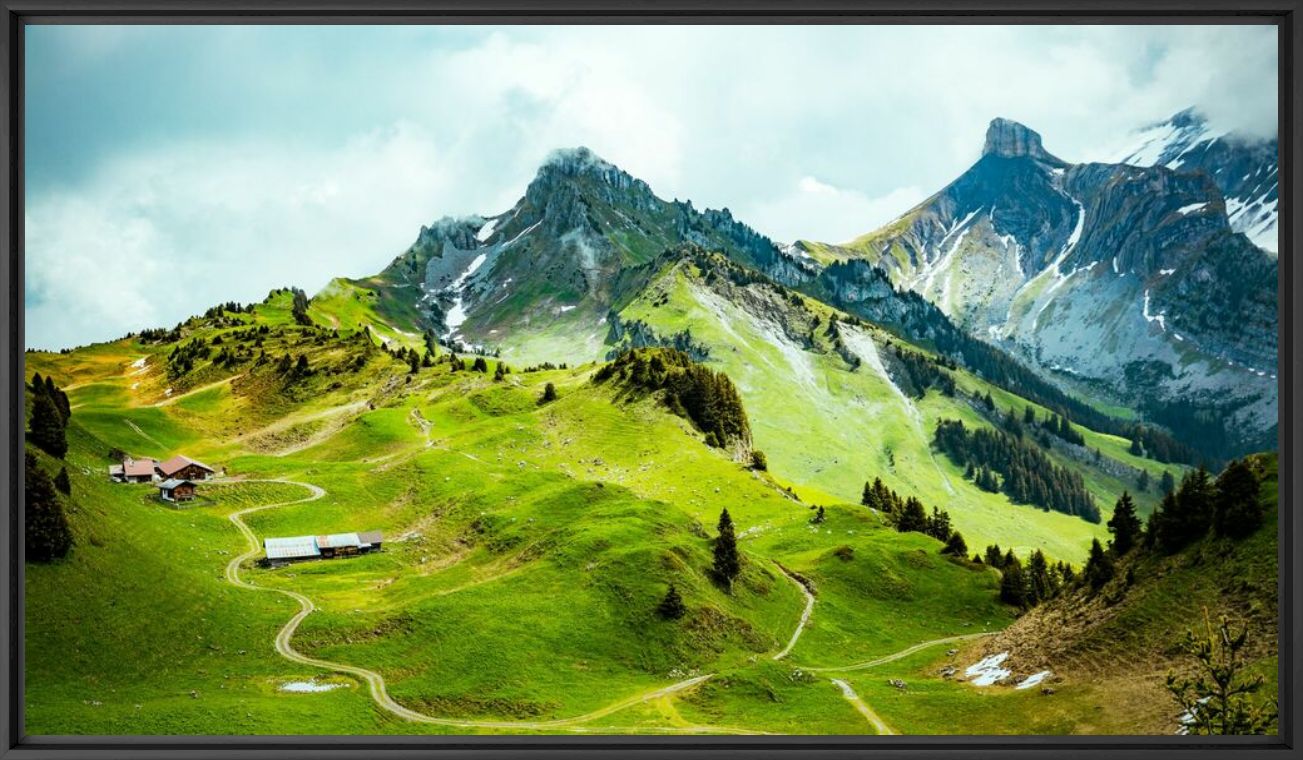 SCHYNIGE PLATTE - J&ouml;rg Wanderer - Photographie
