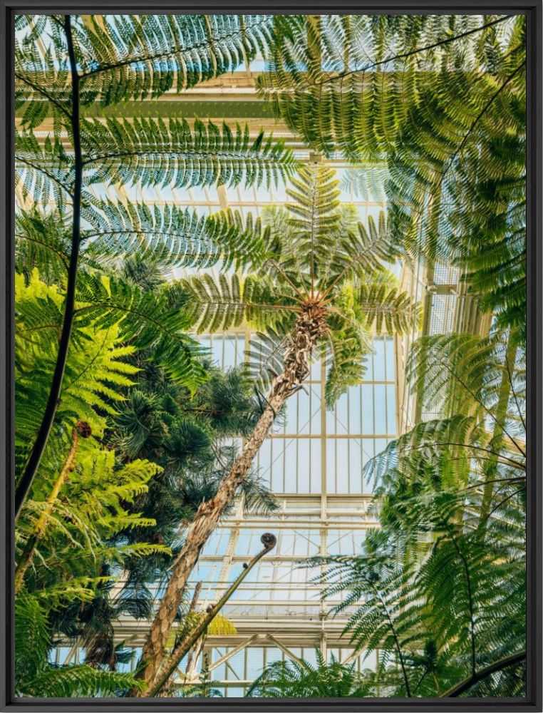 Botanical garden Berlin - J&ouml;rg Wanderer - Photographie